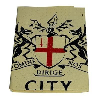 Chamois Cleaning Cloth.
