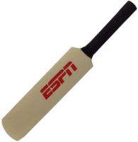 Mini (12 Inch) Cricket Bat