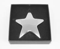 Star Metal Paperweight