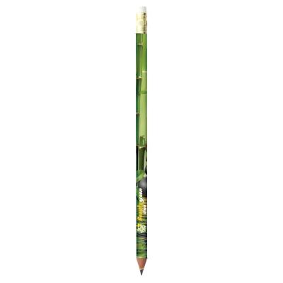 BIC® Evolution Classic Digital Ecolutions® Pencil