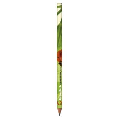 BIC® Evolution Classic Cut End Digital Ecolutions® Pencil