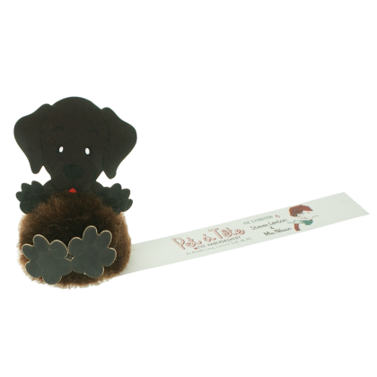 AB5-AB5 Chocale Labrador