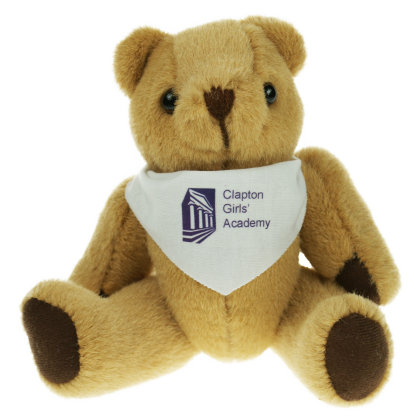 Bandana Bear 25cm T-Shirt