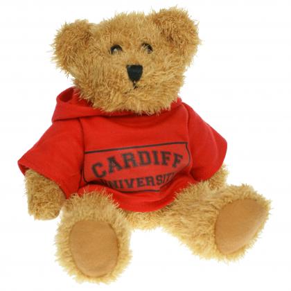 Sparkie Bear 20cm Hoody