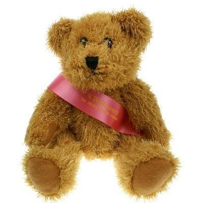 Sparkie Bear 25cm Sash