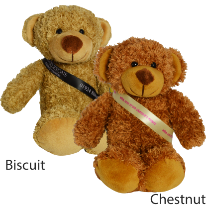 20cm Barney Bear Sash