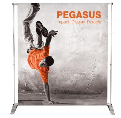 Pegasus Frame