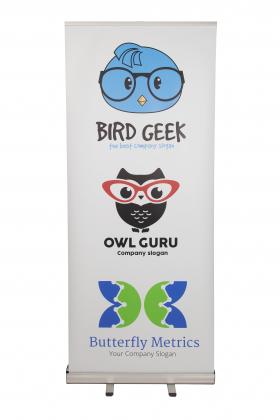 Budget Pull Up Banner