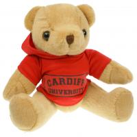 Honey Bear 20cm Hoody