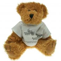 Sparkie Bear 20cm T-shirt