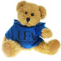 Sparkie Bear 25cm Hoody