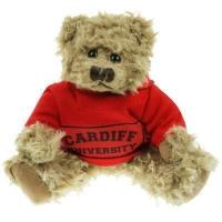 Windsor Bear 20cm Hoody