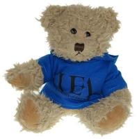 Windsor Bear 25cm Hoody