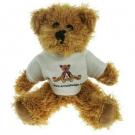 Sparkie Bear 15cm T-shirt