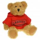 Sparkie Bear 20cm Hoody