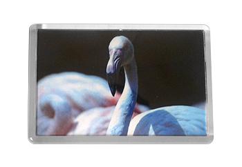 Acrylic Fridge Magnets