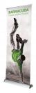 Barracuda Pull Up Banner