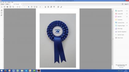 R-101 Ribbon Rosettes