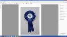 R-101 Ribbon Rosettes