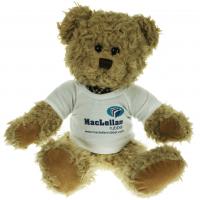 Windsor Bear 35cm T-shirt