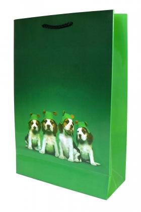 Luxury Laminated Paper Bag - Medium