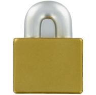 Padlock Stress Shape