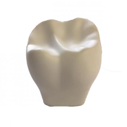 Tooth 2 Stress Shape