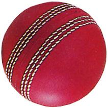 Cricket Ball Stress Shape