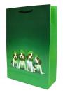 Luxury Laminated Paper Bag - Medium