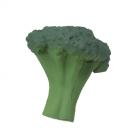 Broccoli 2 Stress Shape