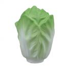 Cabbage Chinese Stress Shape