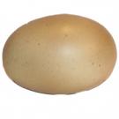 Egg Small Stress Shape