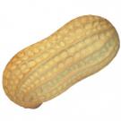 Monkey Nut (peanut) Stress Shape