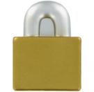 Padlock Stress Shape