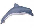 Dolphin Stress Shape