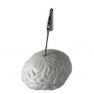 Brain Card Clip Stress Shape