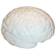Brain Small Stress Shape
