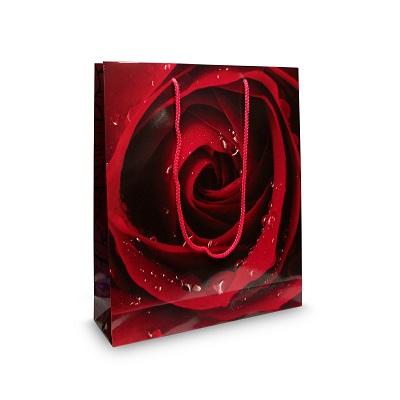 Laminate Bags - Over size A3