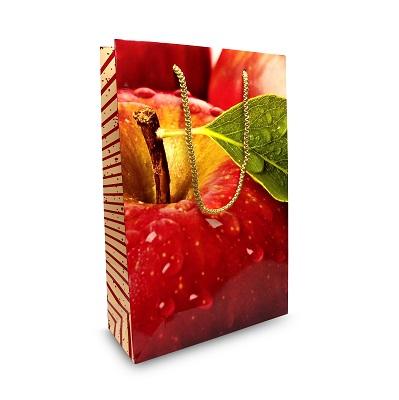 Laminate Bag - Over size A4