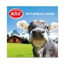 Universal Microfibre Cloth