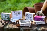 Seedball Matchbox