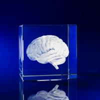 Crystal Glass Healthcare Award or Paperweight