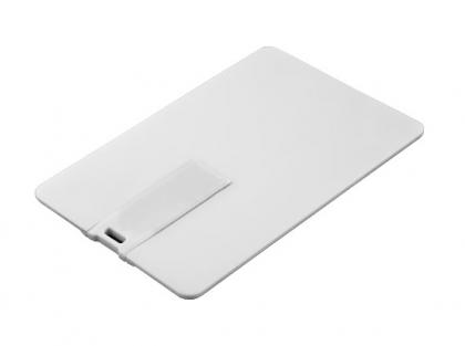 Card Visa USB Flash Drive / FlashDrive