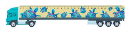 30 cm ruler, truck