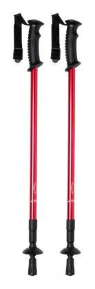 nordic walking sticks