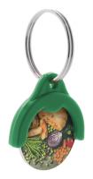 trolley coin keyring