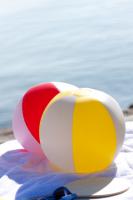 beach ball (ø23 cm)