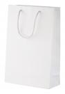 custom made paper shopping bag, large