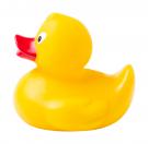 rubber duck