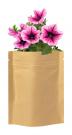 flower planting kit